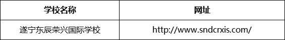 遂寧市遂寧東辰榮興國際學校網(wǎng)址是什么？