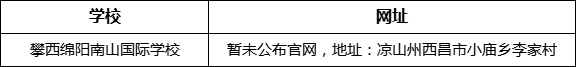 涼山州攀西綿陽(yáng)南山國(guó)際學(xué)校網(wǎng)址是什么？