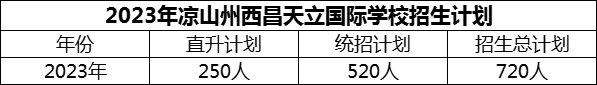 2024年涼山州西昌天立國際學(xué)校招生計劃是多少？