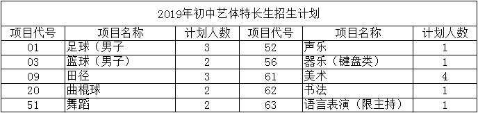 華陽中學(xué)2019年特長生計劃