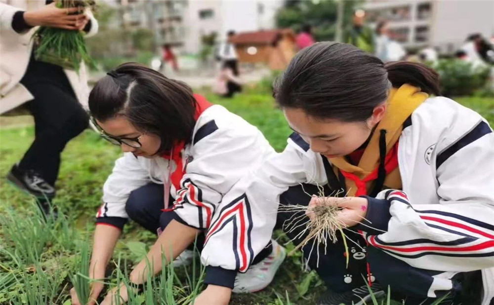 成都樹德中學(xué)光華校區(qū)招生計(jì)劃是多少